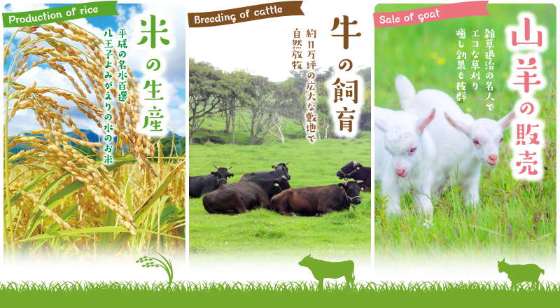 米の生産・牛の飼育・山羊の販売